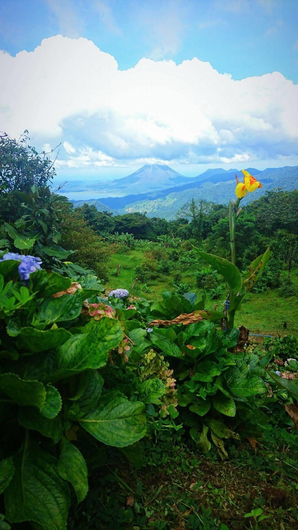 Vistaverde Lodge Monteverde Dış mekan fotoğraf