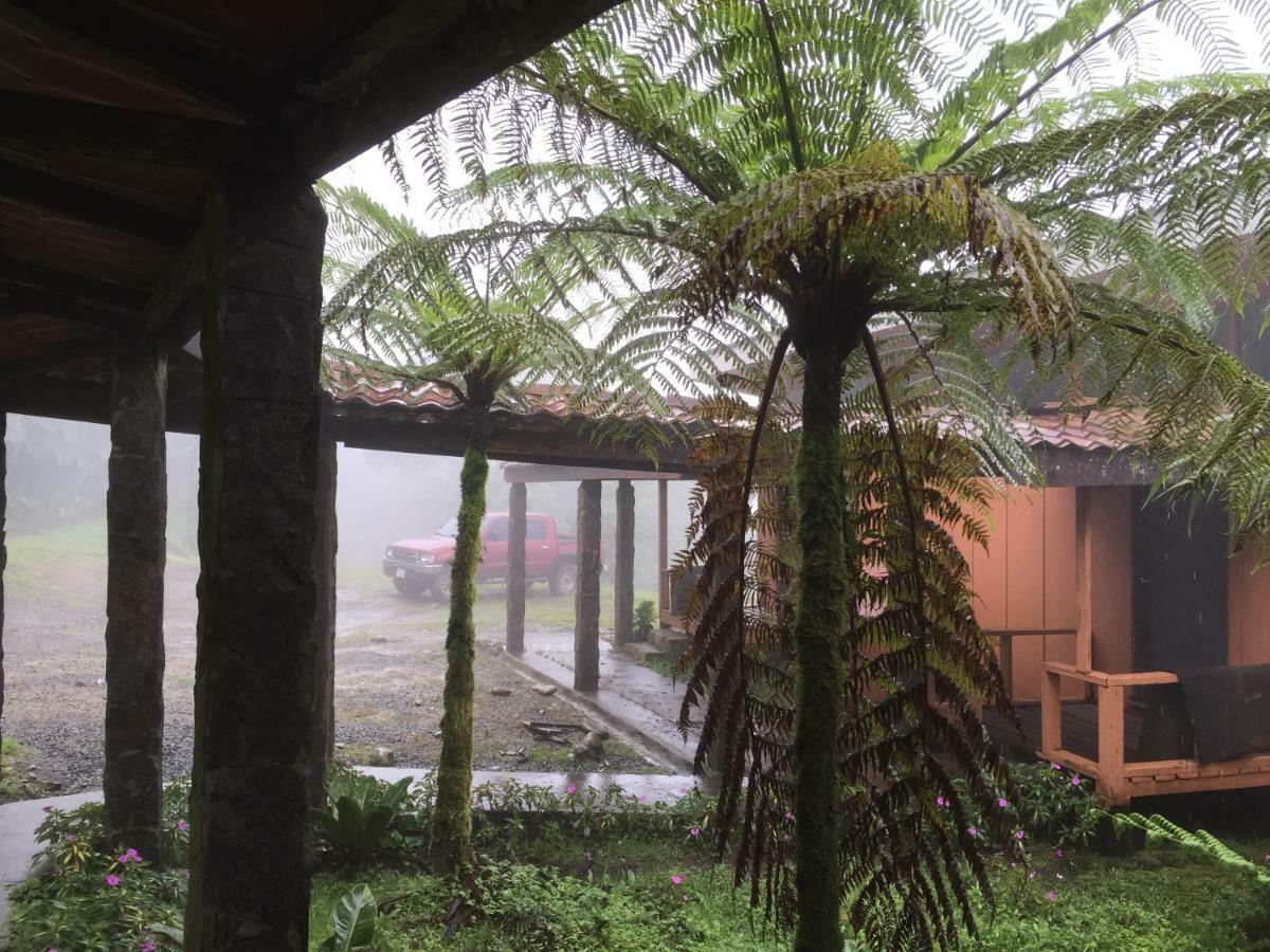 Vistaverde Lodge Monteverde Dış mekan fotoğraf