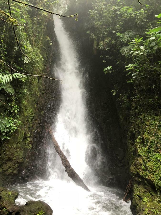 Vistaverde Lodge Monteverde Dış mekan fotoğraf